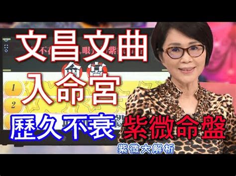 命主文曲 身主文昌|文昌與文曲